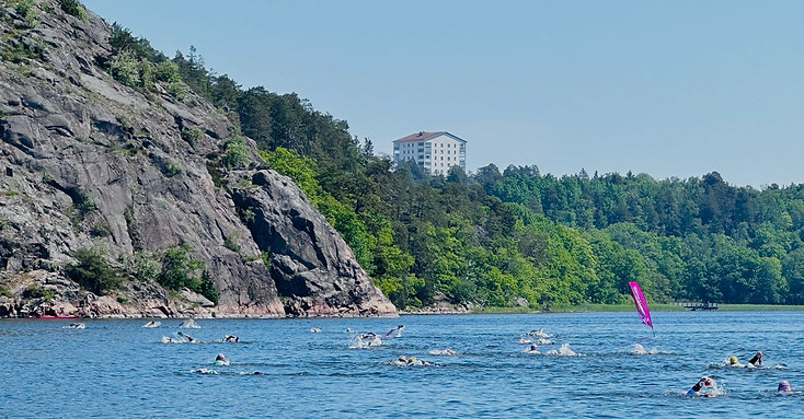 WhatsApp Bild 2024-05-27 kl. 22.19_edited.jpg