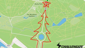 🎄Julgranslöpning – ett digitalt löppass i julstämning