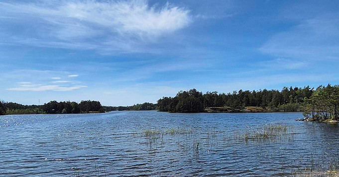 20260523_124452.jpg
