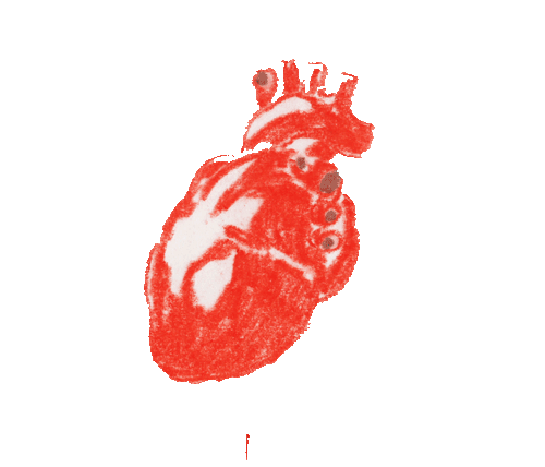 Heart.gif