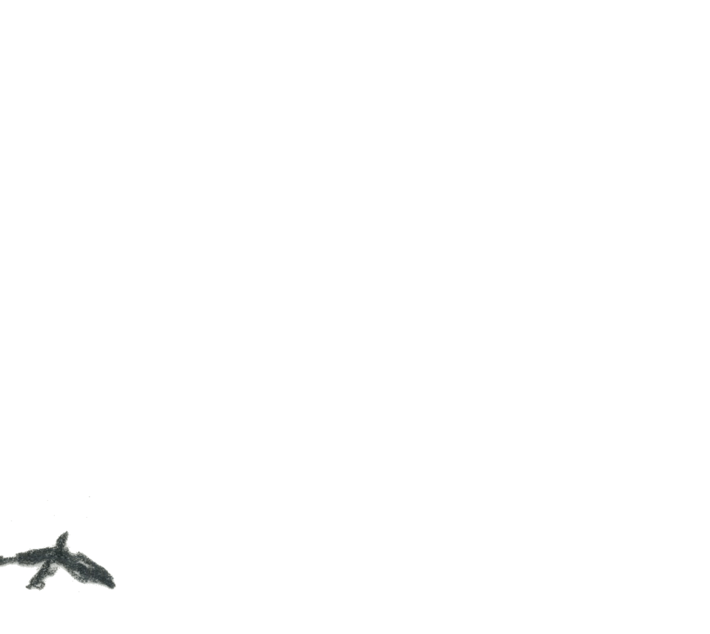 Bird02.gif