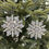 Thumbnail: Flower Crystal Snowflake Set