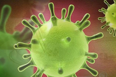 Brasileiros criam teste que diagnostica 416 doenças, inclusive a zika
