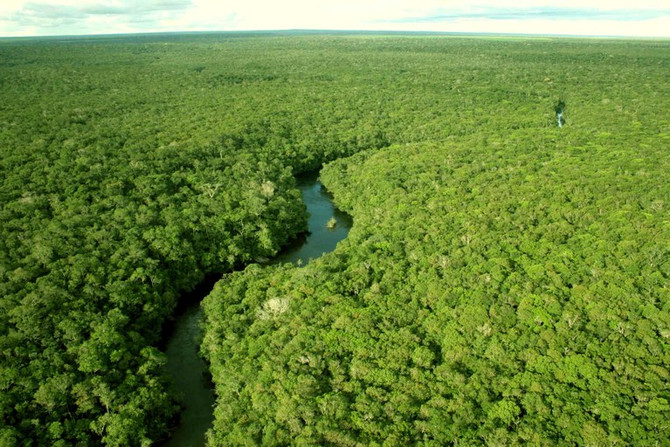 Projeto vai apresentar tecnologia de baixo carbono a setores econômicos