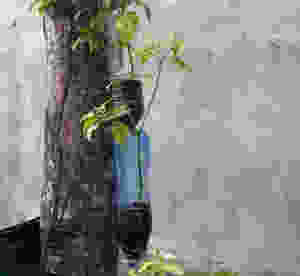 Lembeh Foundation hydroponic