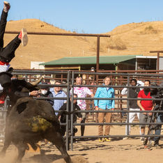 Jackass Forever: Cashing Careers