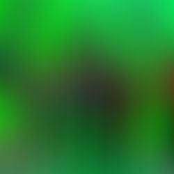 The Bubble: Bursted Production