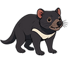 Tassie Devil