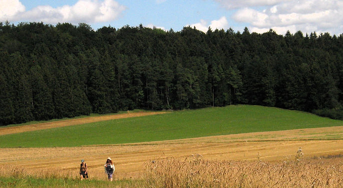 MTTC. Two women walking in nature.jpg