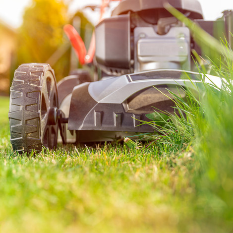 Grass Cutting