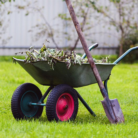 Garden Clearance & Tidy