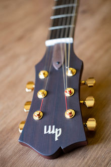 Modern Archtop Jazz - Cedro