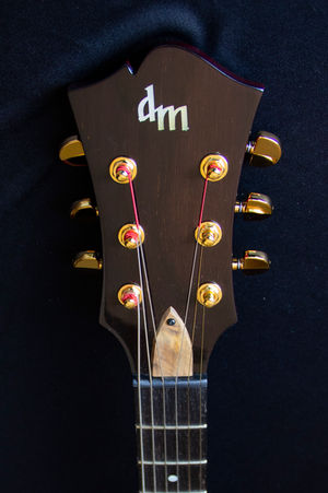 Modern Archtop Jazz -Marupá & Cedro