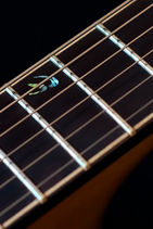 Traditional Archtop Jazz 16 - Spruce & Maple