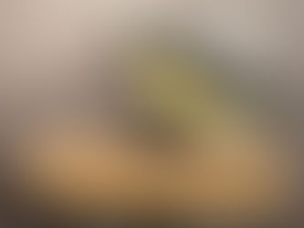 idée cadeau haut de gamme