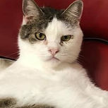 2%E3%81%86%E3%81%A3%E3%81%97%E3%83%BC_ed