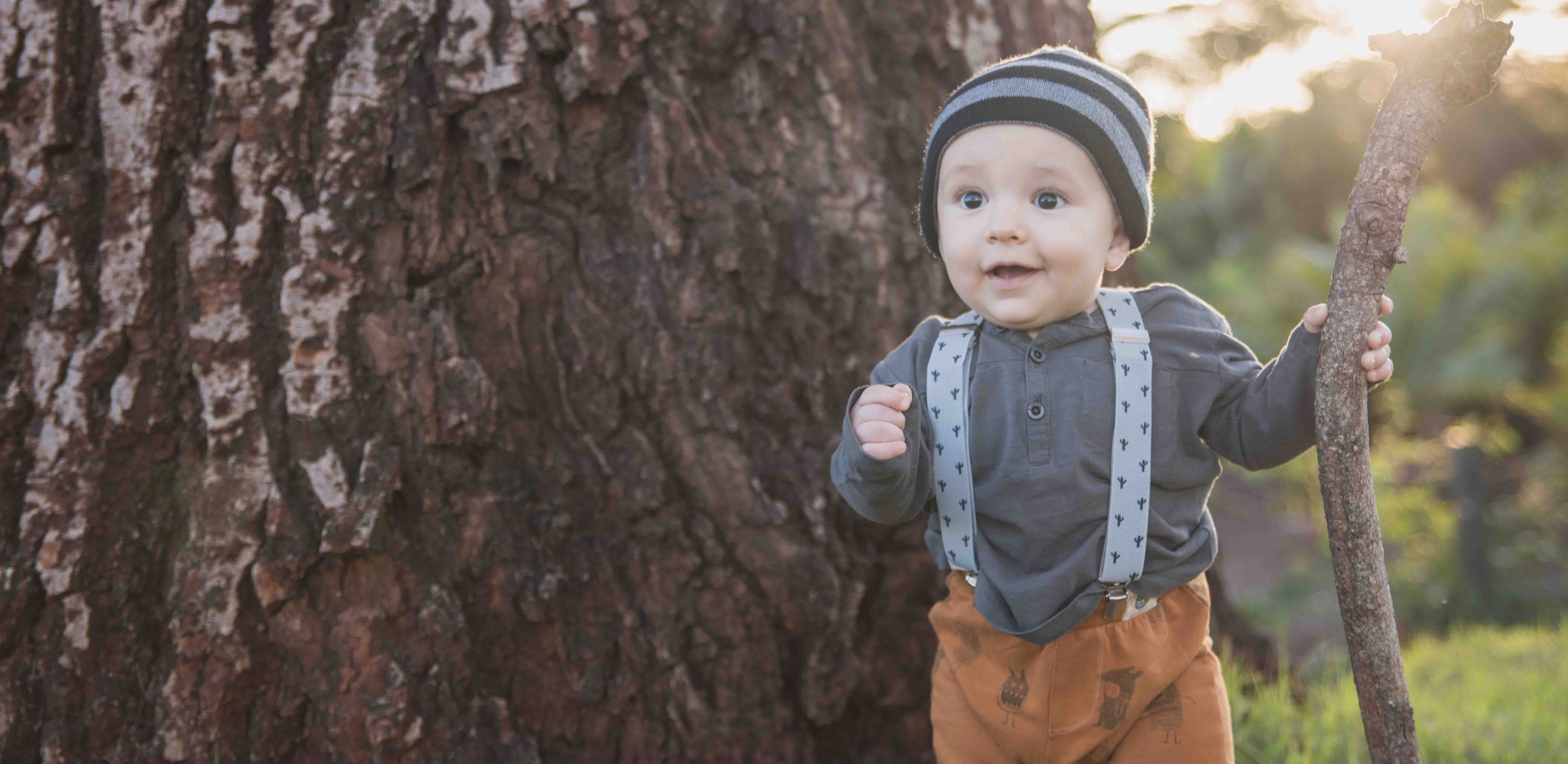 Ensaios de Acompanhamento