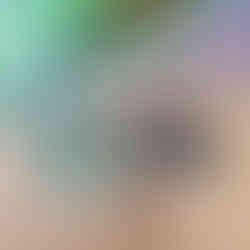 Plants and a plant spritzer as plant-related gifts