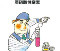 亜硝酸性窒素