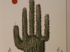 #639*