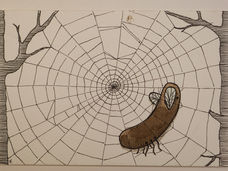 #679*