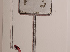 #556