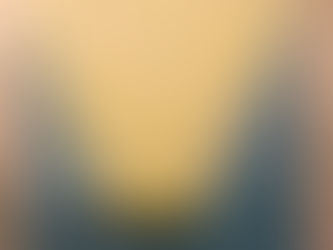 #005