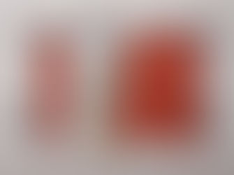 #808