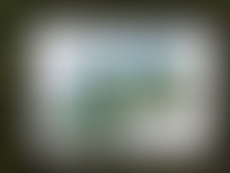 #217