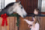 Professional Holiday Family Photo Sessions 2025