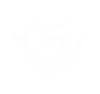 Action Group - Febrero  (1).png