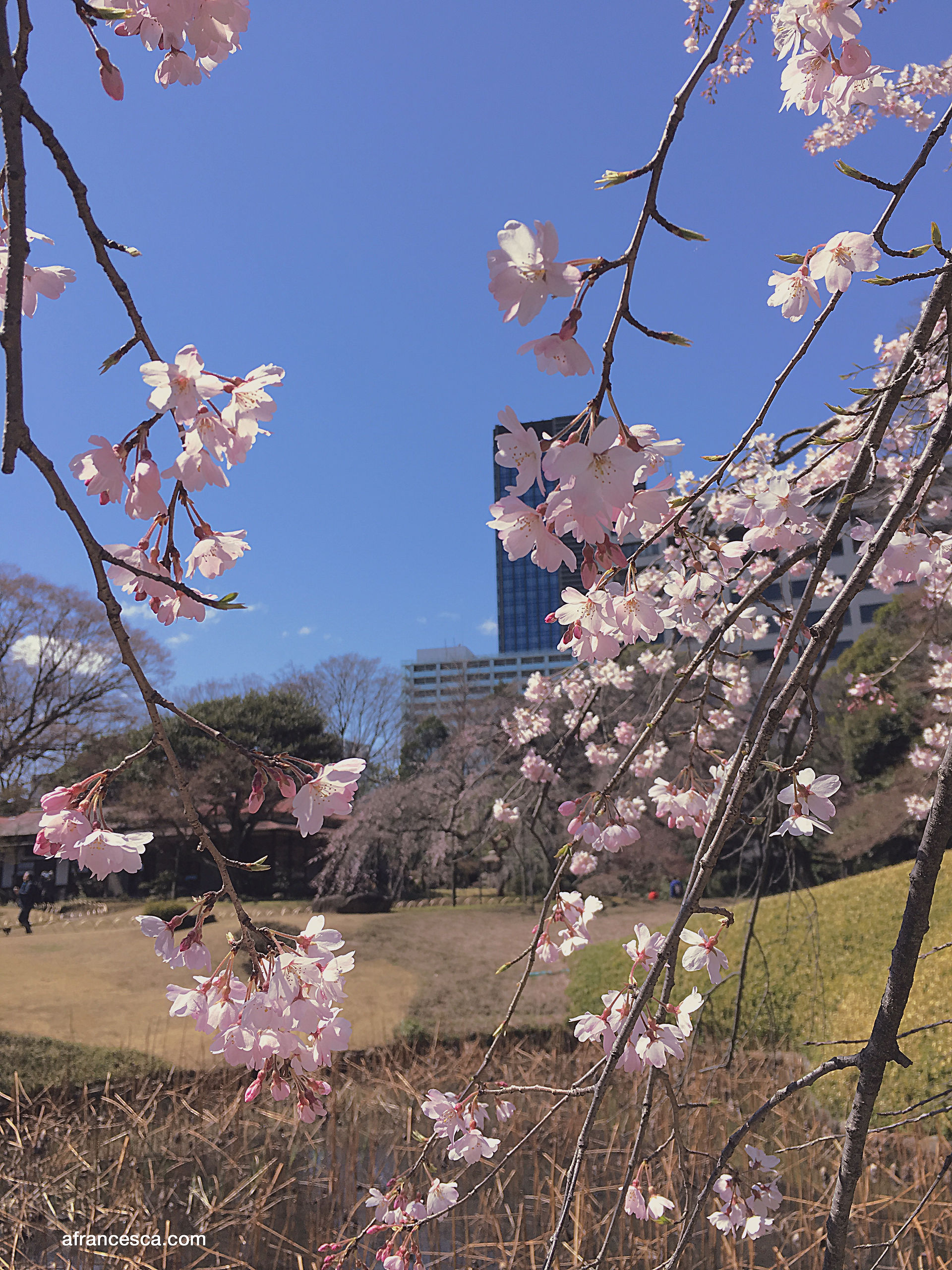 Koishikawa Korakuen