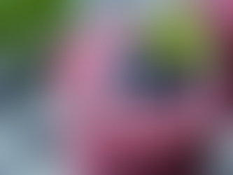 Delicious Custom Smoothies Made with Real Fruits