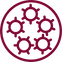 hpv.png