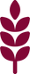 wheat-grains.png