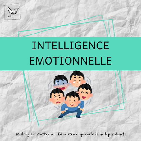 Emotion, intelligence et accompagnement socio-éducatif
