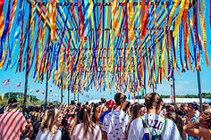 LOLLAPALOOZA Copy 2.jpeg
