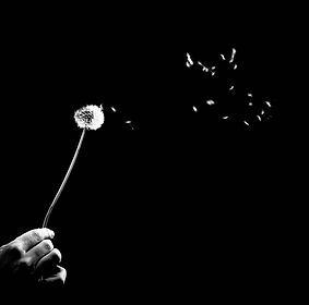 photographies-noir-blanc-de-Benoit-Courti-15.jpg