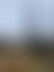 gru-cingolata-telescopica