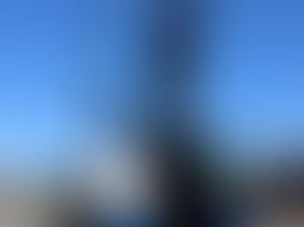 Ultima novità: gru cingolata tralicciata TK35 T