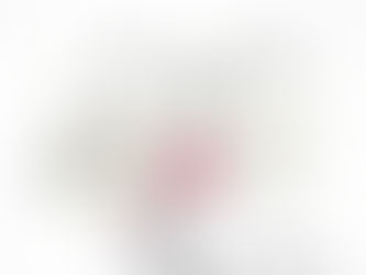 ¿CÓMO DECIDIMOS VIVIR NUESTRA PARENTALIDAD?