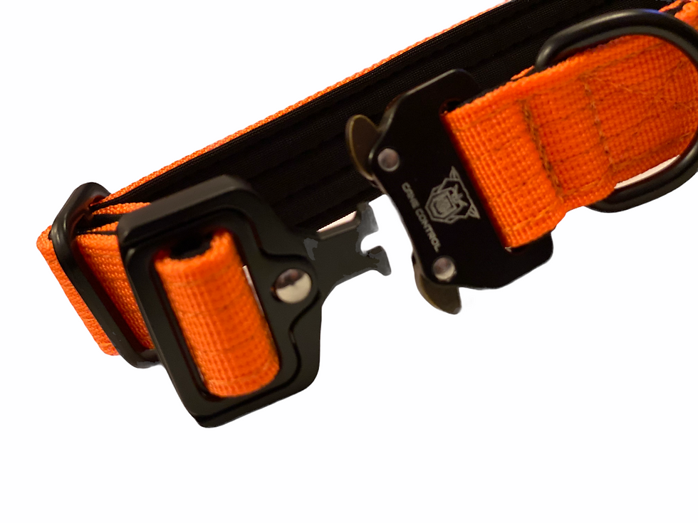 Thumbnail: Puppy/small breed 2.5” combat collar no handle