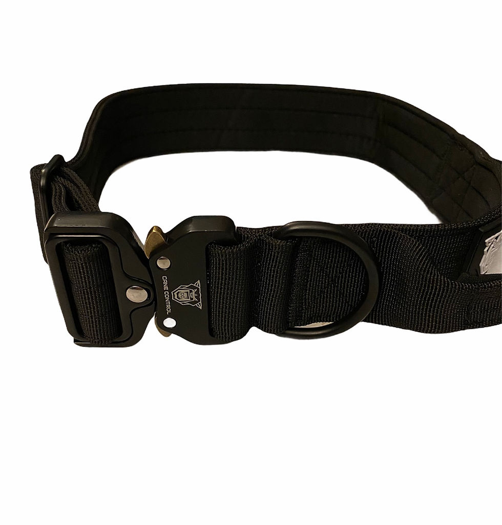 Thumbnail: 4cm Combat collar with handle black