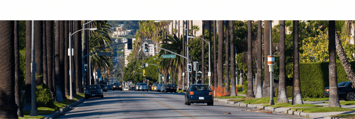 Show Hero Banner GIF.gif