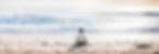 PAra prana full beach.jpg