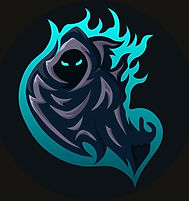 Wynand logo_edited.jpg