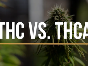 THC vs THCa: Clearing the Smoke 🌬️