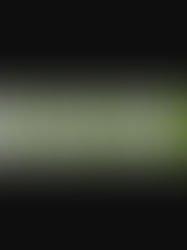 How Bud Bar's Calgary Cannabis Delivery Service Puts Customer Happiness First for Unmatched Convenience