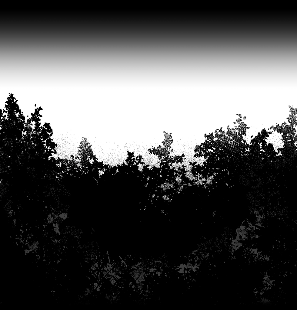 bg5.png