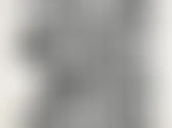 Tiken Jah Fakoly et Amen Jah Cissé :  "Actualités Brûlantes"